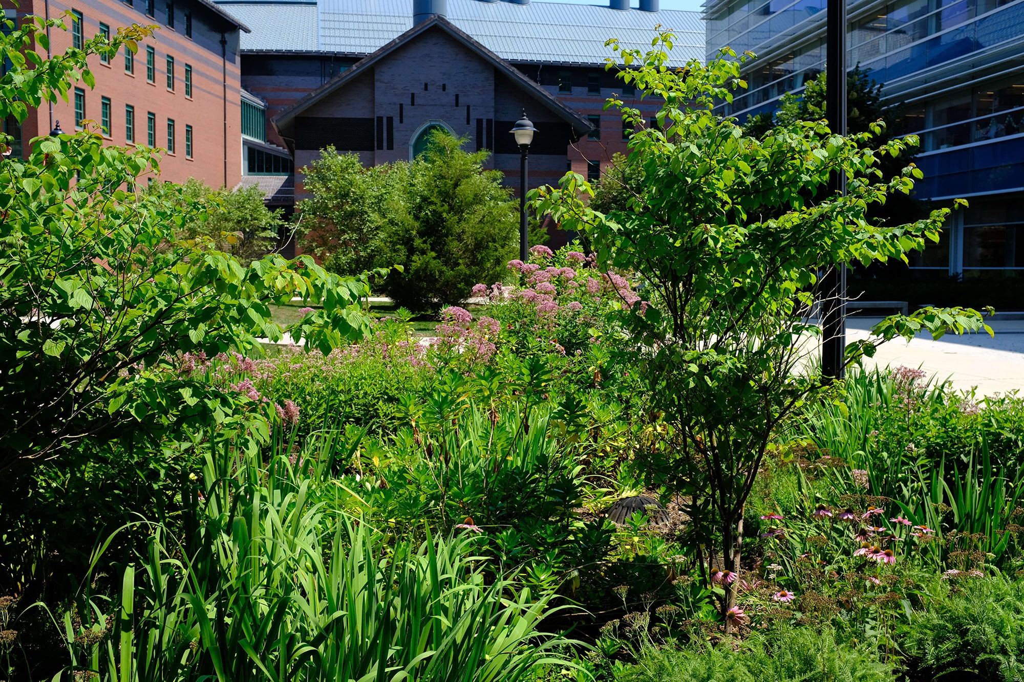 Northeast Science Quadrange, UConn, Storrs, CT